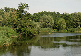 Riu Ter, Bescanó